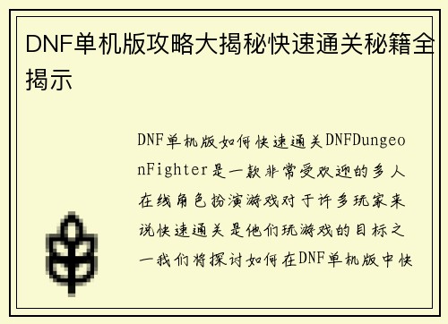 DNF单机版攻略大揭秘快速通关秘籍全揭示